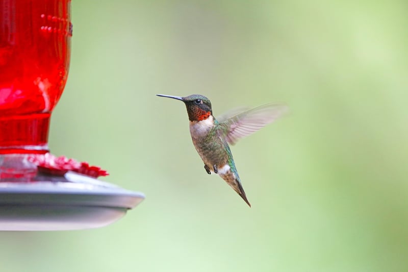 Upcycled Bird Feeder